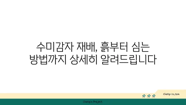 수미감자 집에서 키우기| 씨앗부터 수확까지 완벽 가이드 | 수미감자 재배, 베란다 텃밭, 텃밭 가꾸기