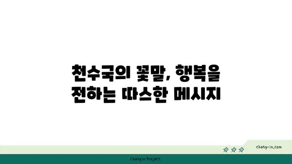 천수국 꽃말, 전설, 재배 방법까지! 아름다움 가득한 천수국 이야기 | 가을꽃, 국화과, 꽃말, 전설, 재배