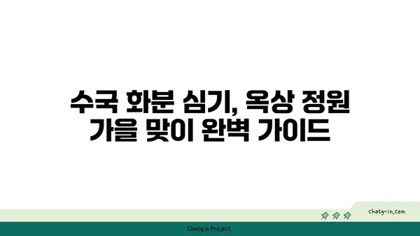 옥상 정원 가을 분위기 연출| 수국 화분 심기 완벽 가이드 | 옥상 정원, 가을, 수국, 화분, 심기, 가이드