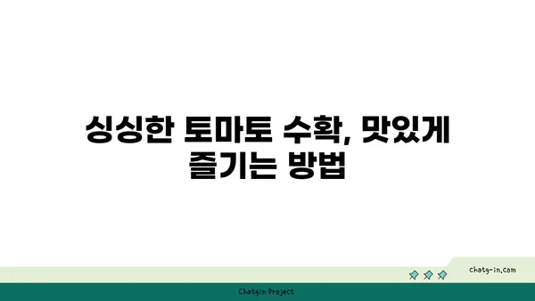 토마토 재배 성공을 위한 완벽 가이드| 씨앗부터 수확까지 | 토마토, 재배, 텃밭, 베란다, 재배방법, 팁