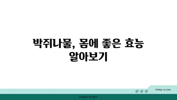 박쥐나물의 효능과 부작용| 섭취 전 꼭 알아야 할 정보 | 약초, 건강, 민간요법