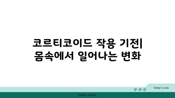 코르티코이드의 이해| 작용 기전, 종류, 그리고 부작용 | 스테로이드, 항염증제, 부신피질호르몬