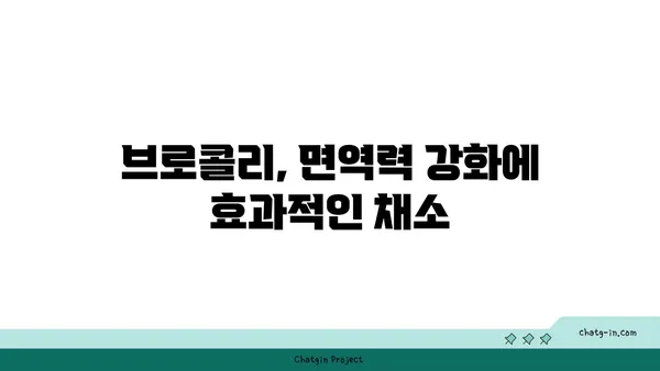 브로콜리의 놀라운 효능| 특성과 영양학적 가치 | 건강, 채소, 식단, 영양, 항산화