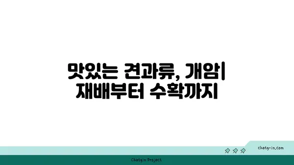 개암나무의 모든 것| 재배부터 효능까지 | 개암, 헤이즐넛, 나무, 견과류, 효능, 재배법, 종류