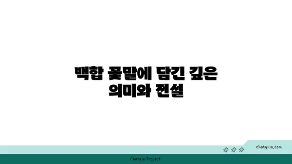 백합의 아름다움을 담은 꽃말 이야기 | 백합 종류, 꽃말, 의미, 전설