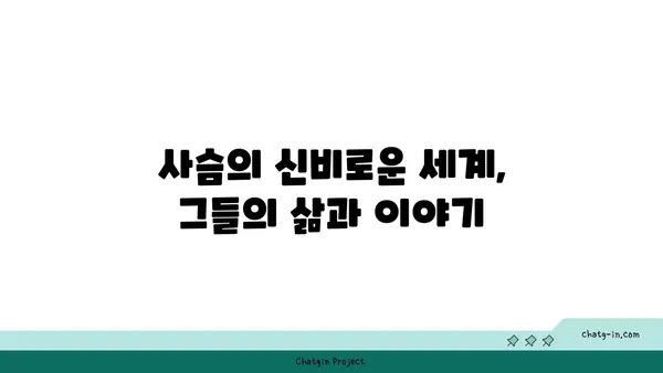 사슴의 비밀| 흥미로운 사슴 이야기와 놀라운 사실들 | 동물, 야생, 자연, 멸종 위기