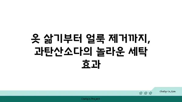 과탄산소다| 믿을 수 있는 표백제의 놀라운 효능과 활용법 | 세탁, 주방, 욕실, 천연 세정제, 친환경