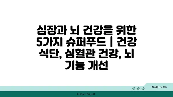 심장과 뇌 건강을 위한 5가지 슈퍼푸드 | 건강 식단, 심혈관 건강, 뇌 기능 개선