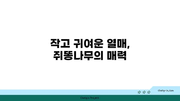 쥐똥나무의 매력, 5가지 특징으로 알아보기 | 쥐똥나무, 식물, 관상용, 정원, 생울타리