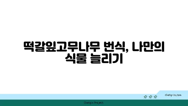 떡갈잎고무나무 키우기 완벽 가이드 | 잎, 물주기, 햇빛, 번식, 병충해, 분갈이, 관리 팁