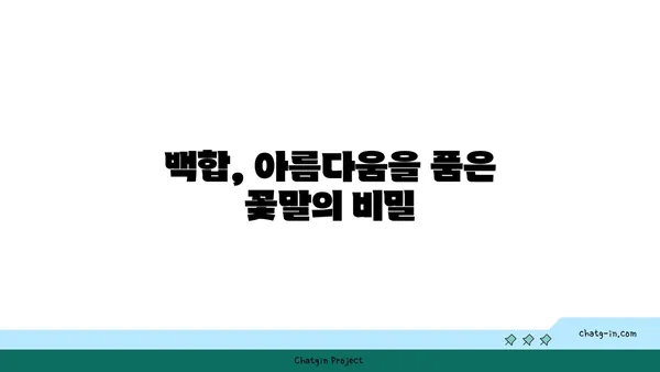 백합의 아름다움을 담은 꽃말 이야기 | 백합 종류, 꽃말, 의미, 전설