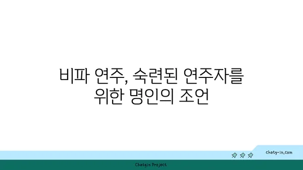 비파 거장의 지혜| 명인과의 대화 | 비파 연주, 음악, 인터뷰, 전통 악기, 명인의 조언