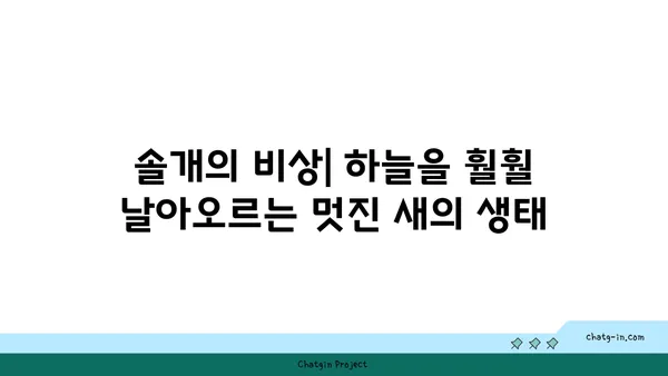 솔개의 비상| 하늘을 훨훨 날아오르는 멋진 새의 생태 | 맹금류, 솔개 특징, 서식지, 먹이, 번식