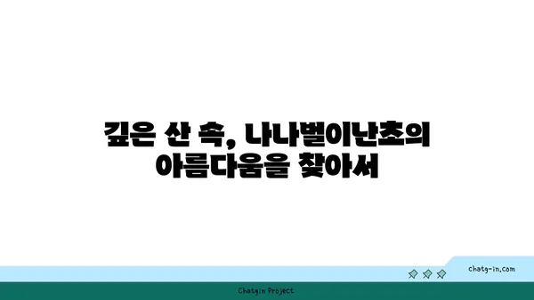 나나벌이난초의 매력에 빠지다| 아름다움과 특징을 만나보세요 | 희귀식물, 야생화, 자생지, 보호종, 식물 정보