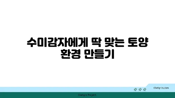 수미감자 최고의 수확을 위한 토양 조건 완벽 가이드 | 수미감자 재배, 토양 관리, 영양 공급