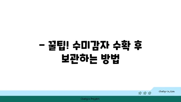 수미감자 수확하기| 최적의 시기와 기법 | 수미감자 재배, 수확 시기, 수확 방법, 감자 수확 팁