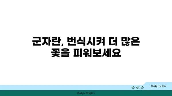 군자란 키우기 완벽 가이드| 꽃 피우는 비법부터 번식까지 | 군자란, 재배, 관리, 번식, 꽃