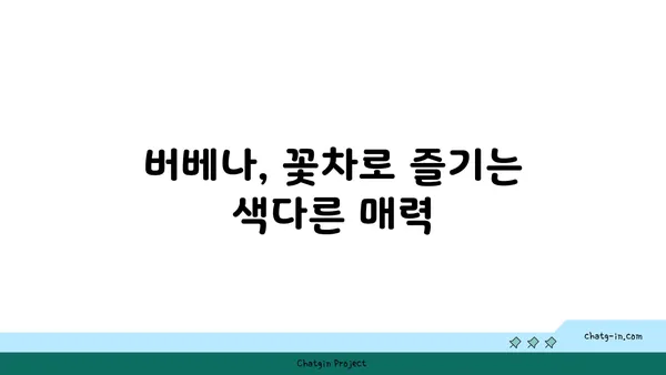 버베나의 매력, 꽃말과 함께 알아보세요! | 버베나, 꽃, 꽃말, 의미, 종류