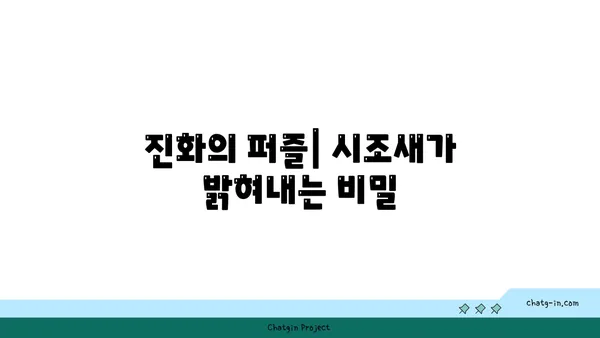 시조새| 진화의 증거, 공룡과 조류의 연결고리 | 공룡, 조류, 진화, 화석, 고생물학