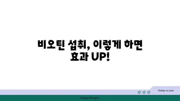 비오틴, 신진대사를 끌어올리는 비밀| 효과적인 섭취 방법과 주의 사항 | 비타민 B7, 건강, 영양, 다이어트