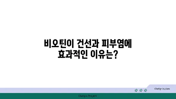 비오틴, 건선과 피부염 증상 완화에 도움이 될까요? | 비오틴 효능, 건선, 피부염, 영양제