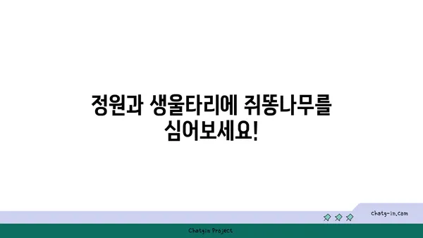 쥐똥나무의 매력, 5가지 특징으로 알아보기 | 쥐똥나무, 식물, 관상용, 정원, 생울타리