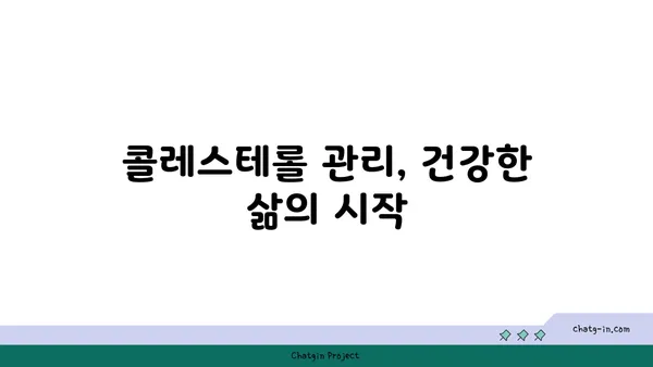 콜레스테롤의 여정| 혈류에서 관동맥까지 | 콜레스테롤, 혈관 건강, 심혈관 질환