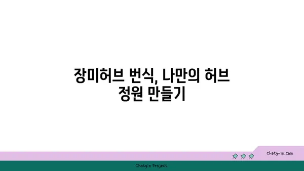 장미허브 키우기 완벽 가이드| 햇빛, 물주기, 번식까지 | 허브, 재배, 관리, 종류