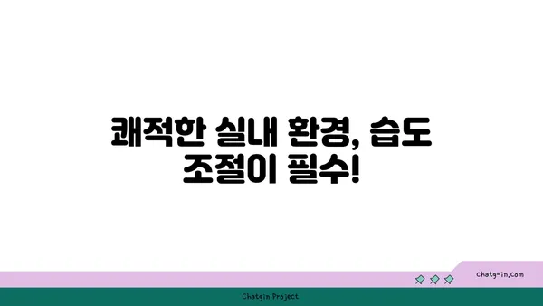 쾌적한 습도의 비밀| 사람이 편안하게 느끼는 최적의 상대 습도는? | 쾌적함, 습도, 실내 환경, 건강