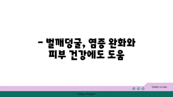 벌깨덩굴 효능과 부작용 완벽 정리 | 약초, 민간요법, 주의사항