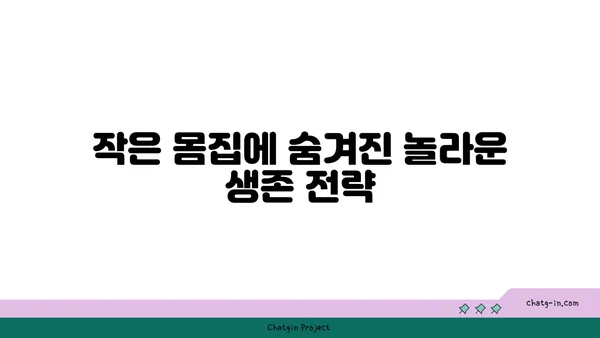 작은두꺼비의 비밀| 생태계의 작은 거인 | 양서류, 두꺼비, 생태, 보호