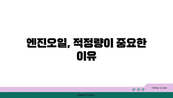 엔진오일 과다 주입, 당신의 차량을 위험에 빠뜨릴 수 있습니다! | 엔진오일, 오일 교환, 자동차 정비, 주의사항