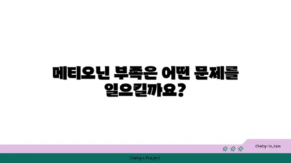 메티오닌의 모든 것| 필수 아미노산의 역할과 건강 효과 | 메티오닌, 필수 아미노산, 건강, 영양, 섭취