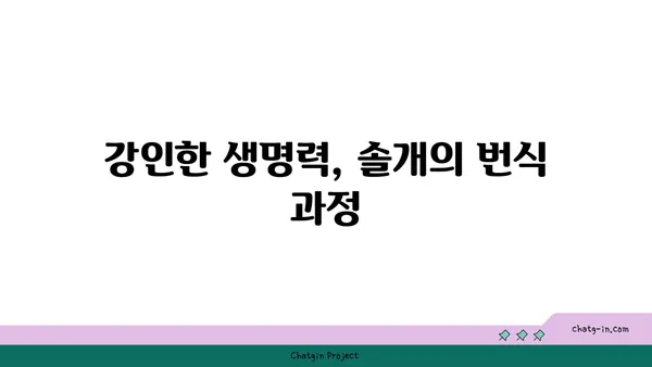 솔개의 비상| 하늘을 훨훨 날아오르는 멋진 새의 생태 | 맹금류, 솔개 특징, 서식지, 먹이, 번식