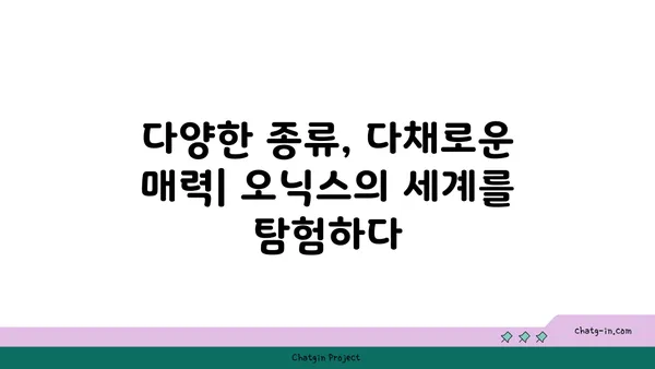 오닉스의 매력| 보석의 신비와 특징 알아보기 | 오닉스, 보석, 특징, 종류, 의미