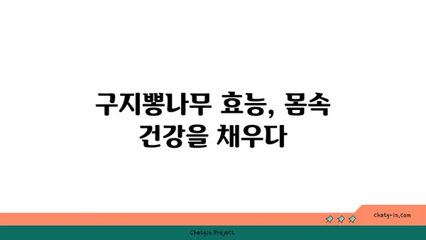 구지뽕나무 효능과 재배 | 건강, 뽕나무, 약용, 묘목, 농업