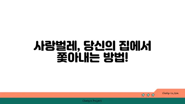 사랑벌레의 위험성, 알고 계신가요? | 사랑벌레, 해충, 건강, 예방, 주의