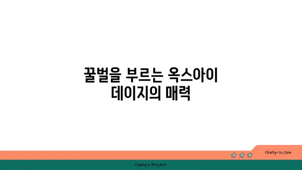 옥스아이 데이지| 환경을 위한 작은 영웅 | 생태계, 토양 개선, 꿀벌 유치