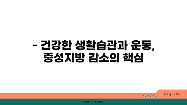 중성지방 감소 운동, 어떤 종류가 효과적일까요? | 중성지방 낮추는 운동, 운동 루틴, 건강 관리