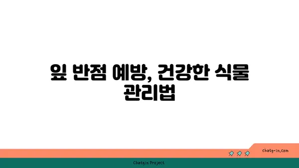 잎에 반점이 생기는 병, 종류별 원인과 해결 방법 | 식물 질병, 병해충, 치료