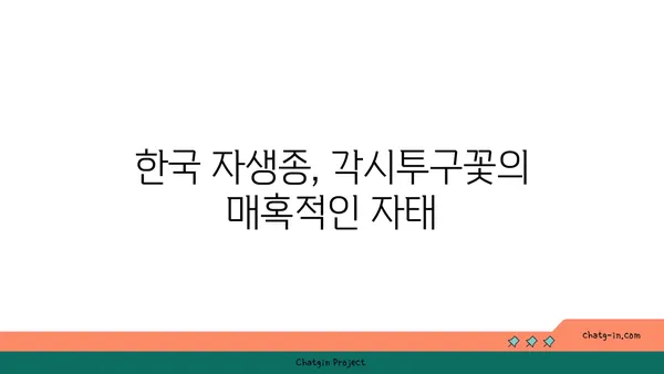 각시투구꽃의 매혹적인 자태와 독성 | 야생화, 식물, 독성 식물, 한국 자생종