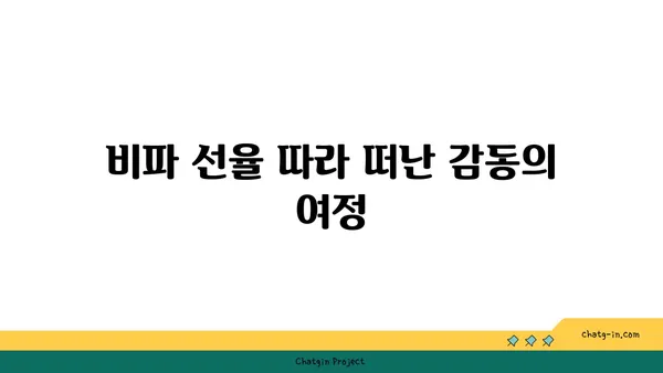 비파 연주하며 떠난 여정, 음악가의 감동적인 이야기 | 비파 여행, 음악, 감성, 문화