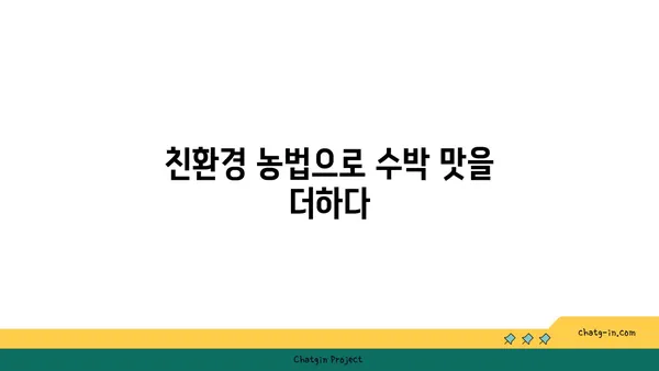 수박 지속가능 생산의 길| 친환경 농법과 혁신 기술 적용 | 수박 농업, 지속가능성, 친환경 농업, 혁신 기술