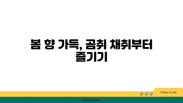 곰취 채취부터 요리까지| 봄나물 곰취 제대로 즐기는 방법 | 곰취 효능, 곰취 손질, 곰취 요리 레시피