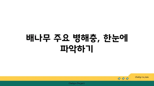 배나무 병해충, 효과적인 방제 가이드 | 배나무, 병해충, 관리, 예방, 치료