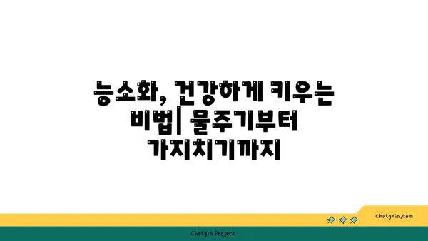 능소화 키우기 완벽 가이드| 심는 법부터 관리법까지 | 능소화, 덩굴식물, 꽃, 원예, 재배