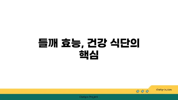 들깨 효능과 활용법| 건강 식단과 요리 레시피 | 들깨, 건강, 레시피, 요리, 효능