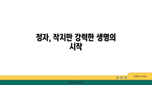 정자의 놀라운 세계| 형성부터 기능까지 | 정자, 생식, 남성 생식, 생식 과정, 정자 형성