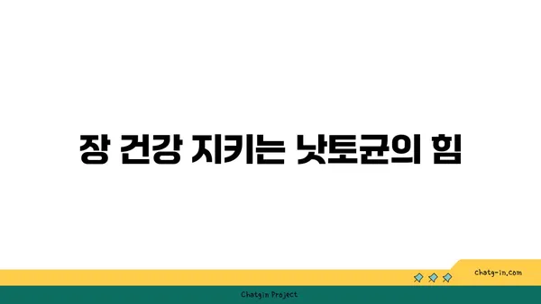 낫토균의 놀라운 효능 7가지| 건강, 장 건강, 다이어트까지 | 낫토, 발효식품, 장내세균, 건강정보, 영양