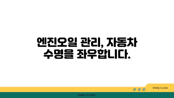 엔진오일 점검| 나의 소중한 자동차를 위한 필수 지침 | 엔진오일 교체 주기, 점검 방법, 주의 사항